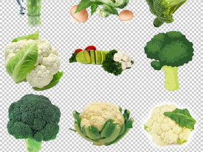 高清免扣西兰花素材 为设计注入新鲜与健康