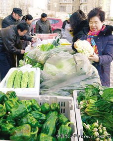 新鲜蔬菜进社区，惠民平价暖人心——天津市精品蔬菜平价直供社区纪实
