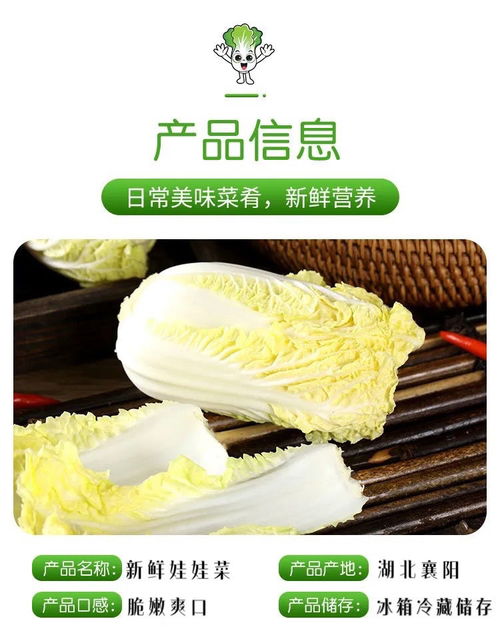 娃娃菜，火锅中的一抹鲜甜